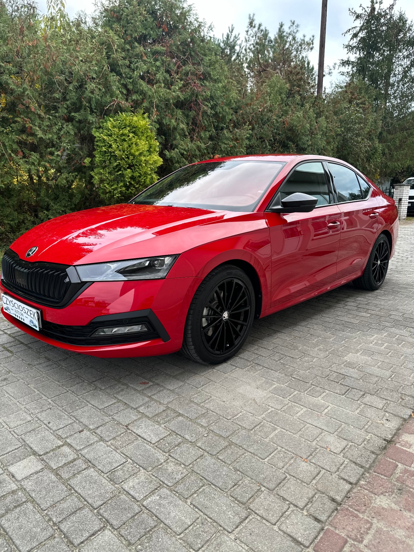 Skoda Octavia - lewy bok 3/4